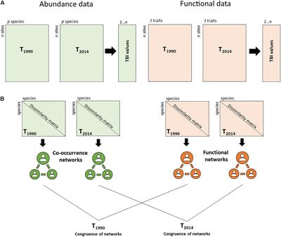 Temporal Variation in the Ecological Functioning of Benthic Communities After 20 Years in the Eastern Mediterranean